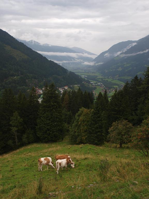 P8132151.jpg