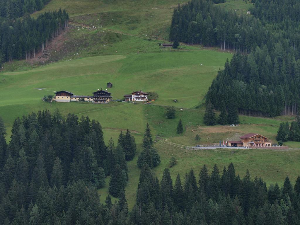 P8132232.jpg