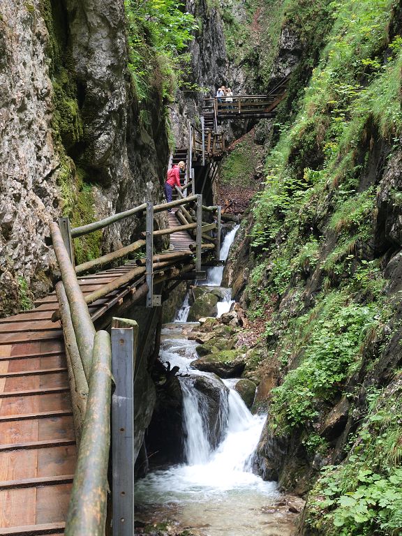 img00005.jpg