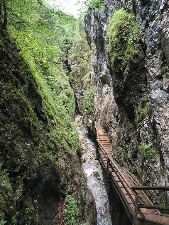 img00006.jpg