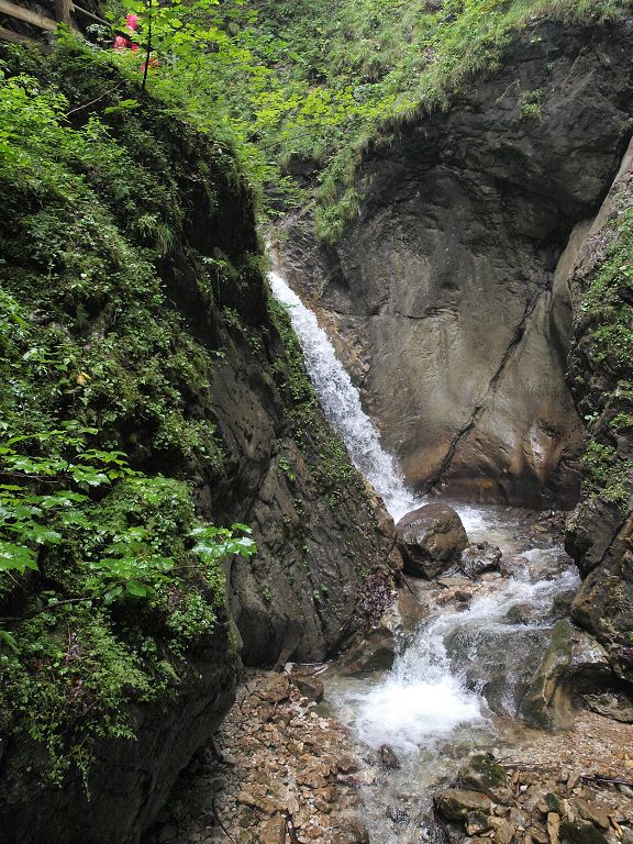 img00008.jpg