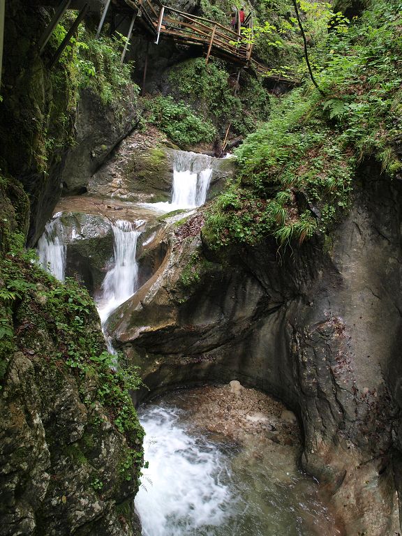 img00009.jpg