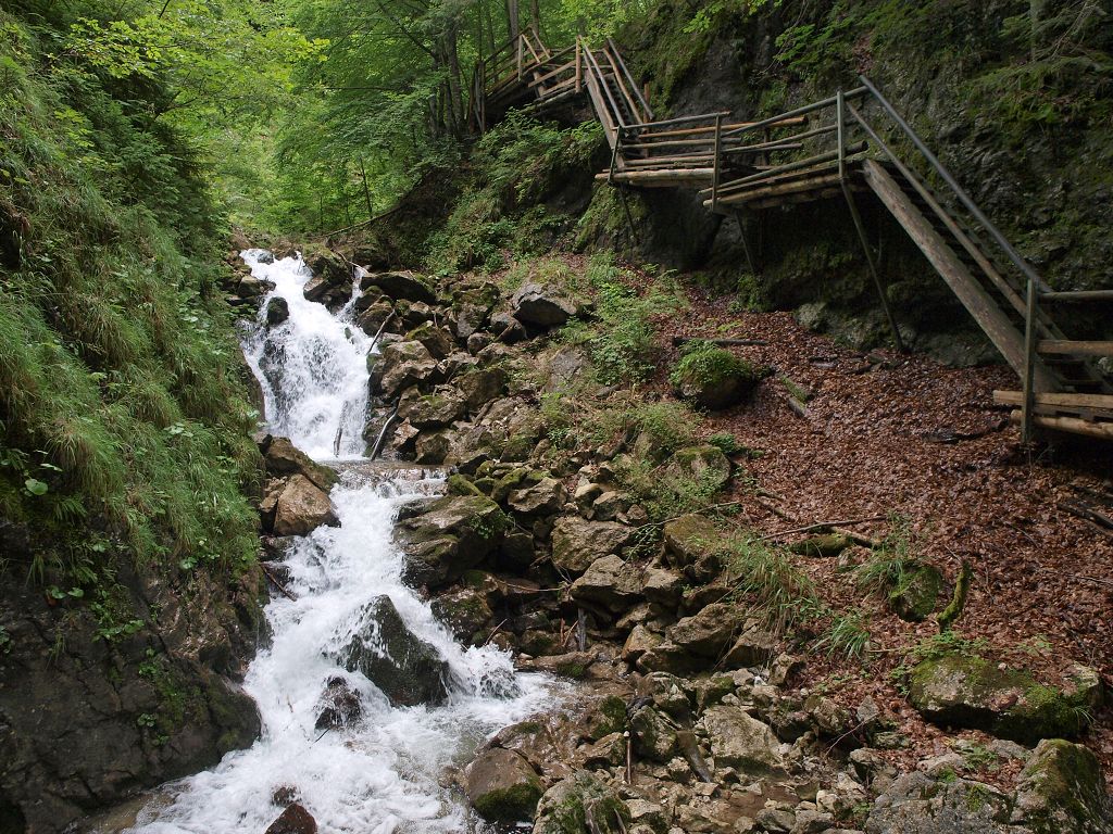 img00010.jpg
