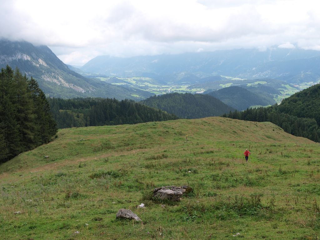 img00011.jpg