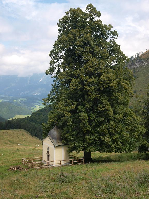 img00012.jpg