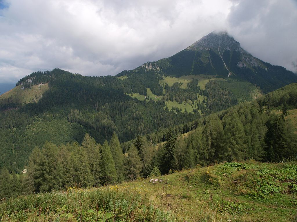 img00013.jpg