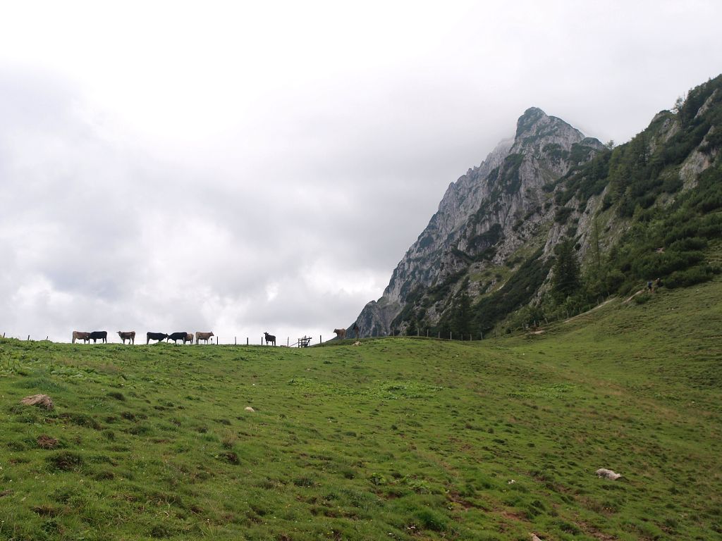 img00016.jpg