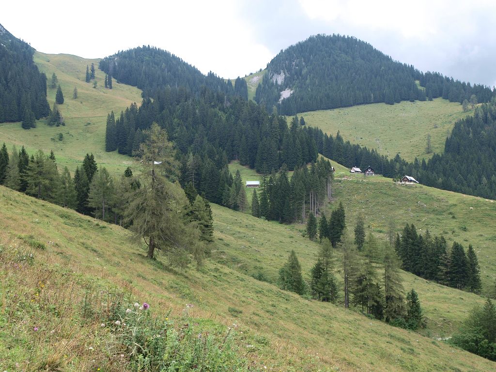 img00022.jpg