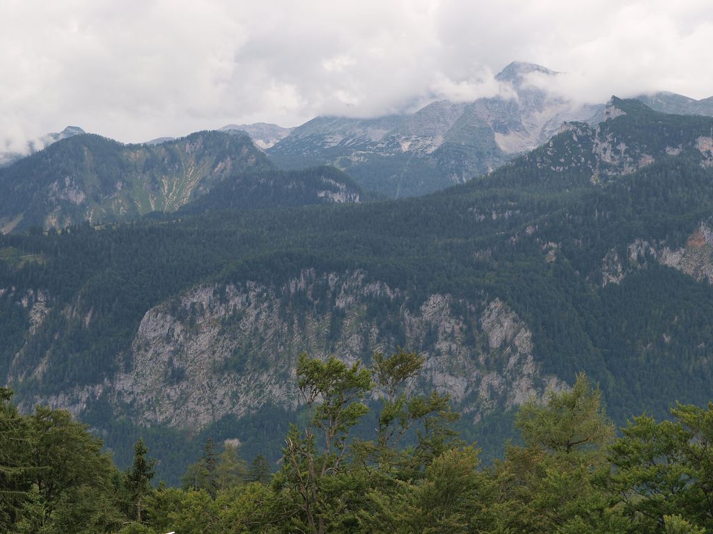 img00010.jpg