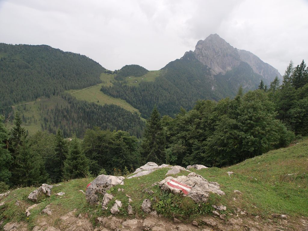 img00013.jpg