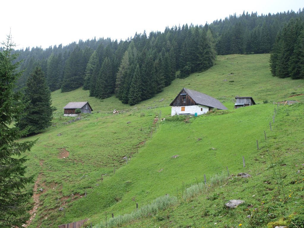 img00017.jpg