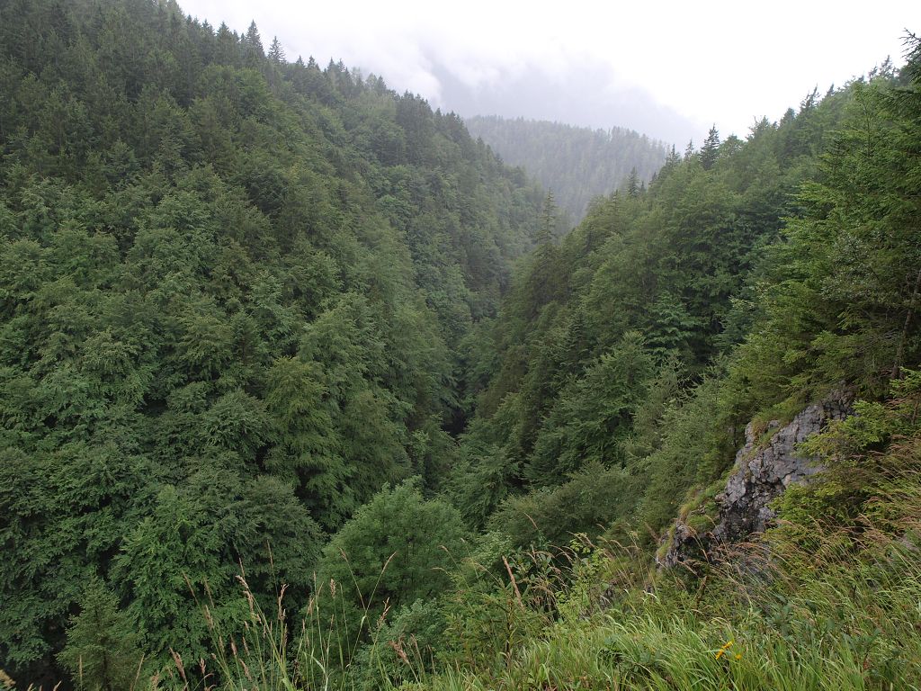 img00019.jpg
