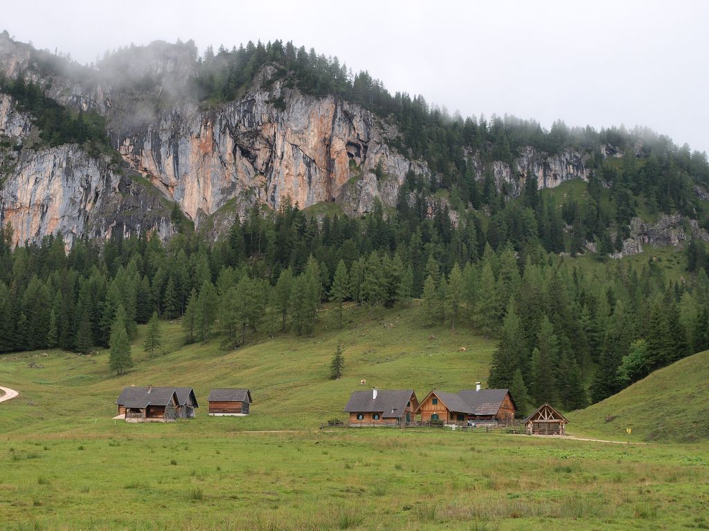 img00008.jpg