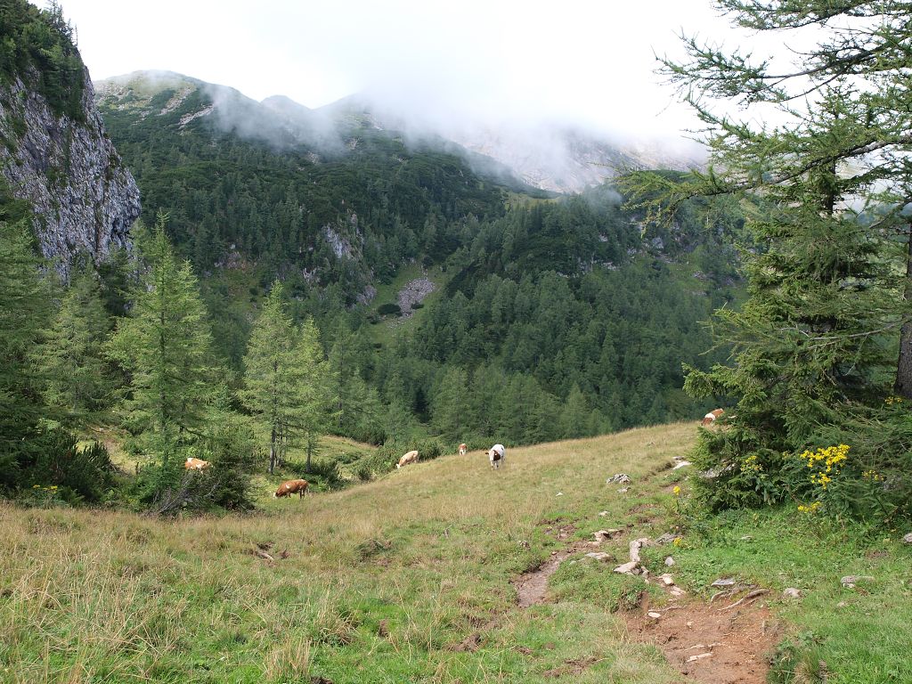 img00010.jpg