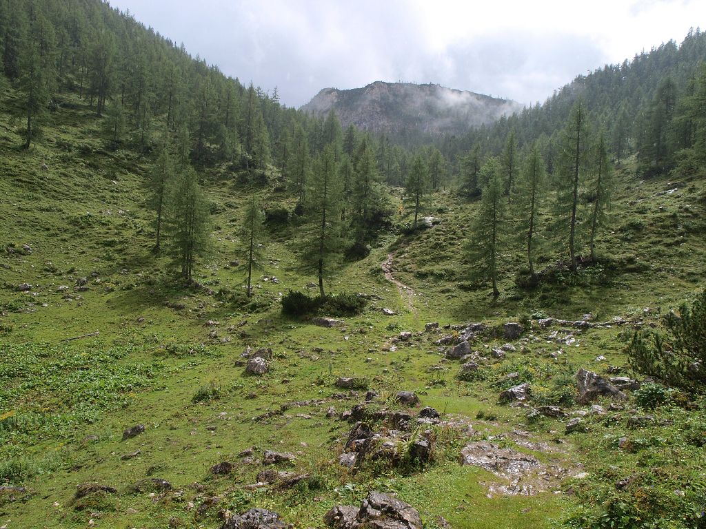 img00011.jpg