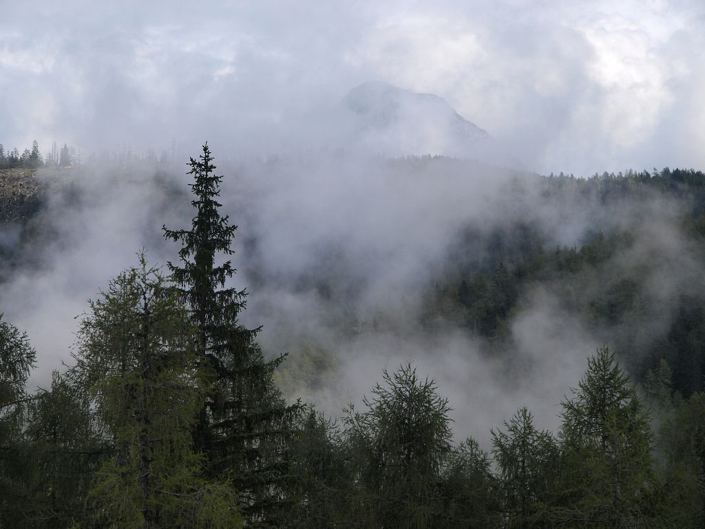 img00018.jpg