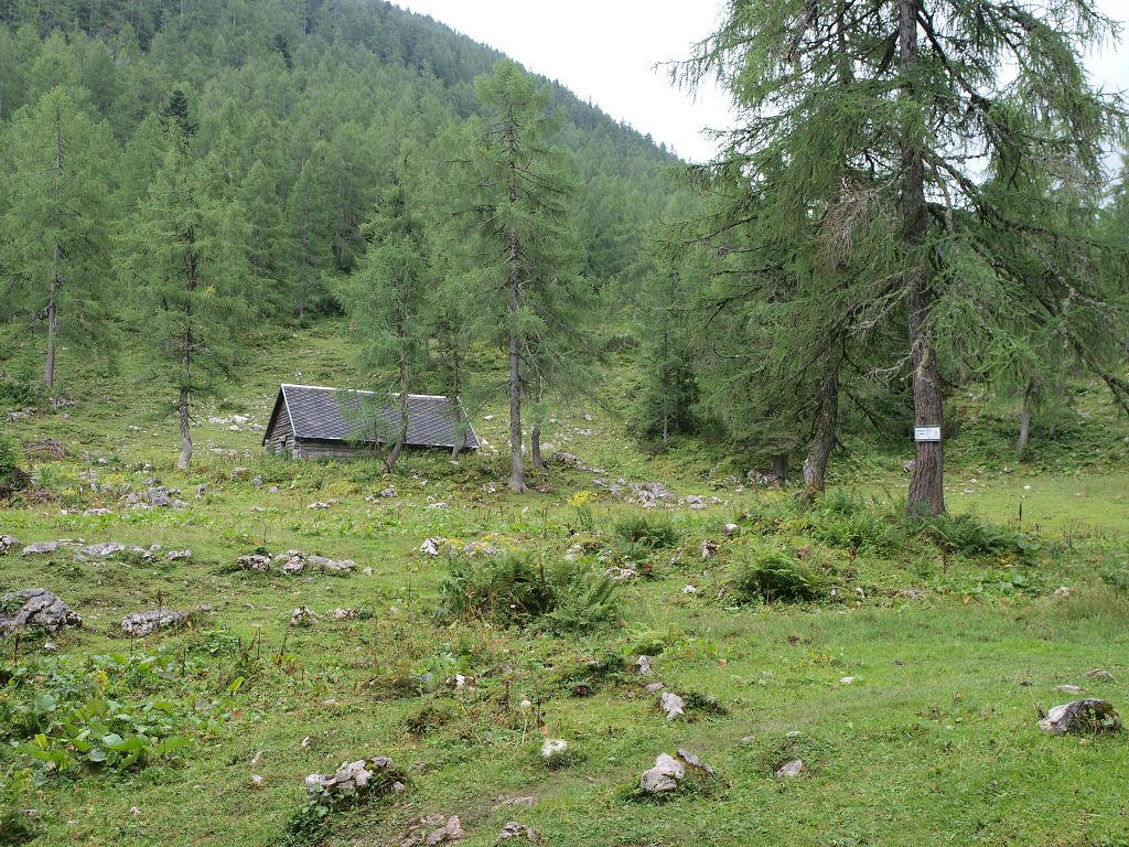 img00020.jpg