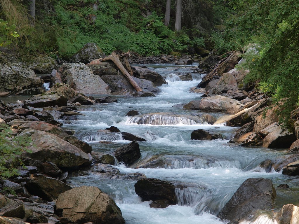 P8048061.jpg