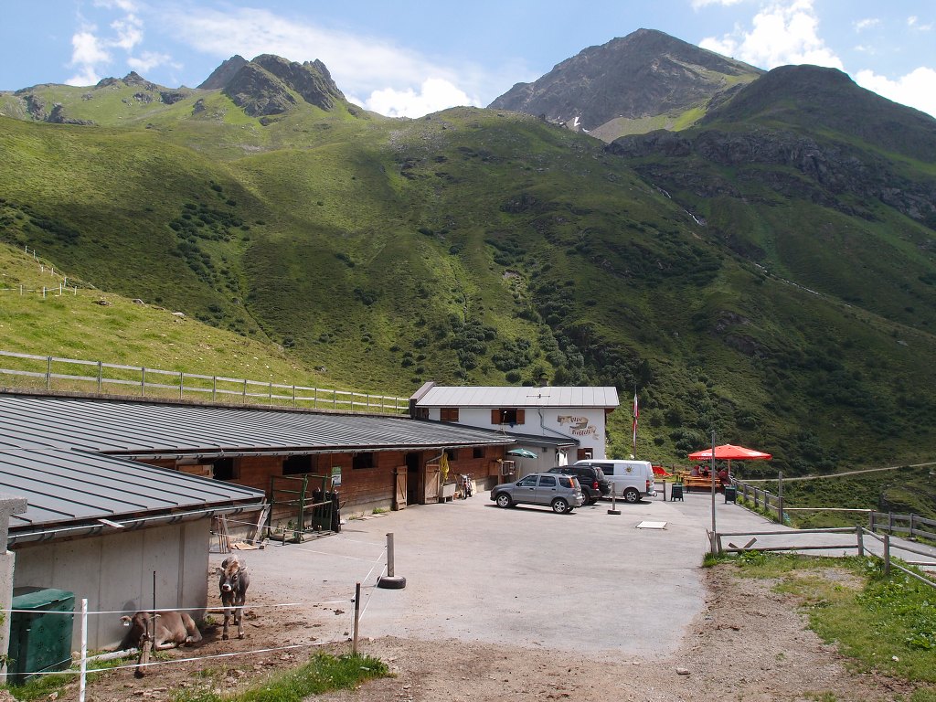 P8062501.jpg