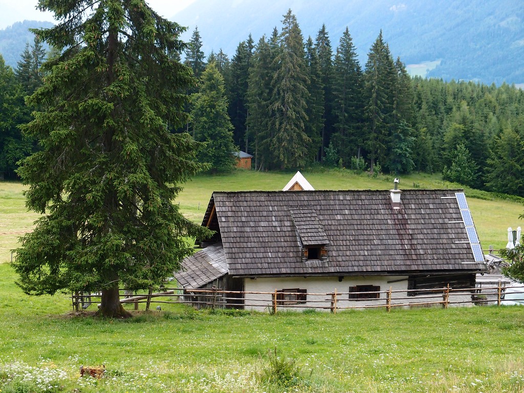 img00011.jpg