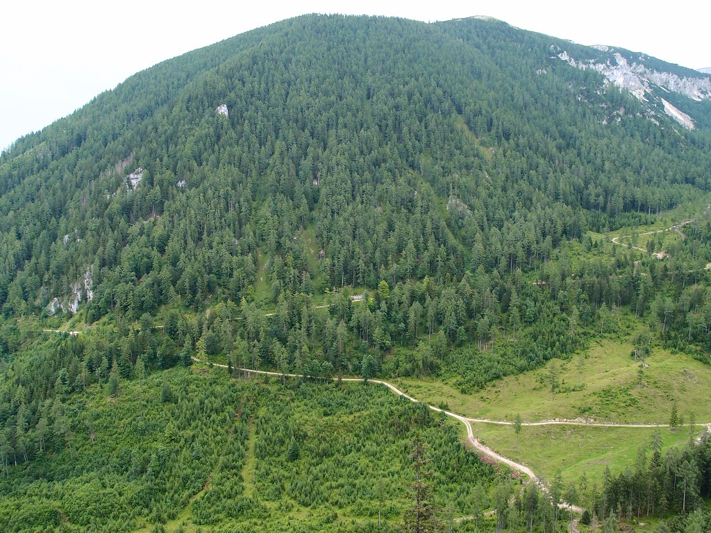 img00014.jpg