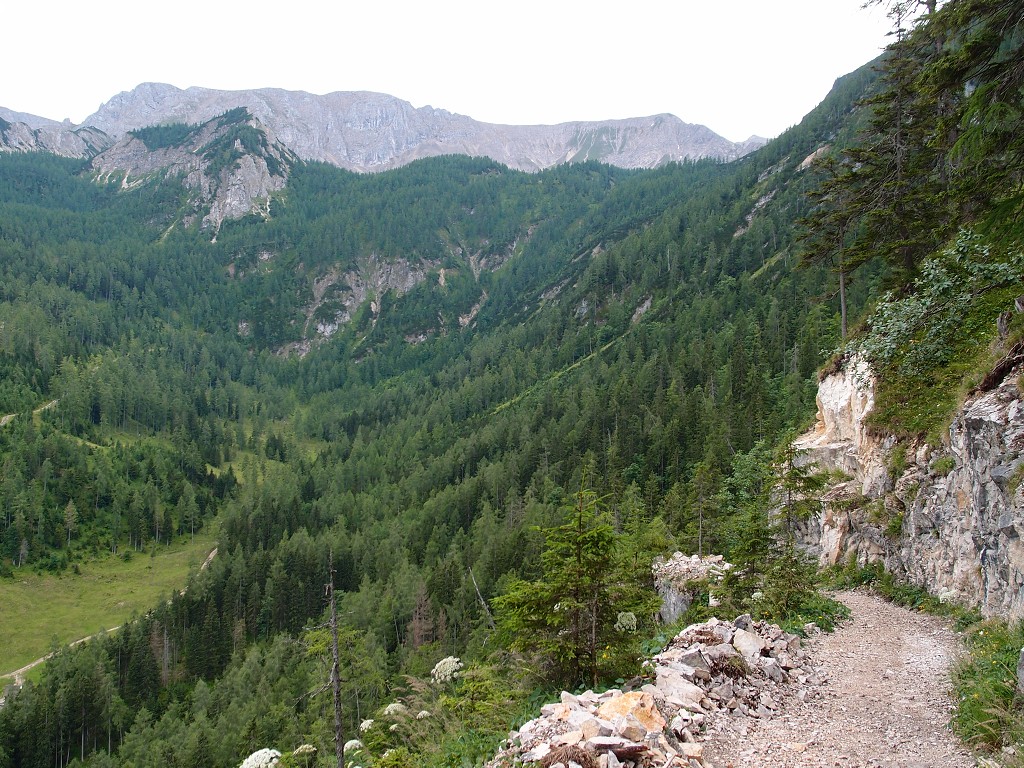img00015.jpg