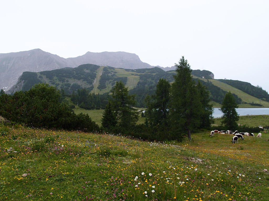 img00017.jpg