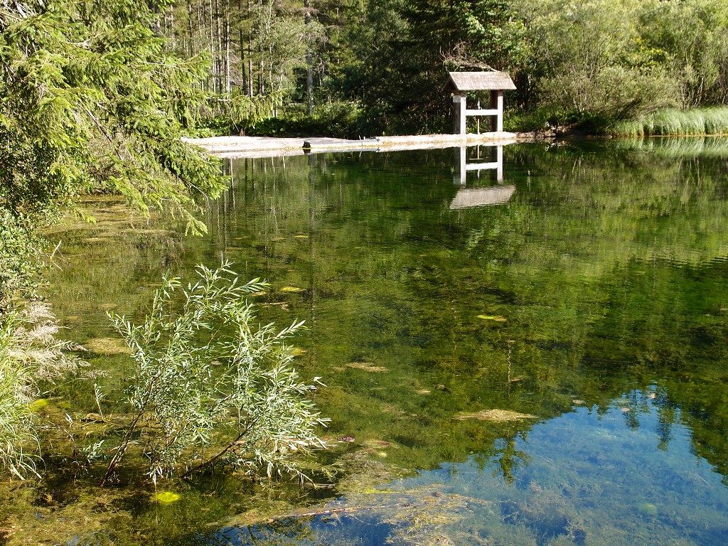 img00018.jpg