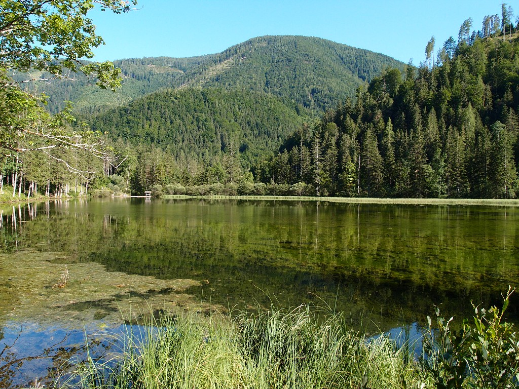 img00019.jpg