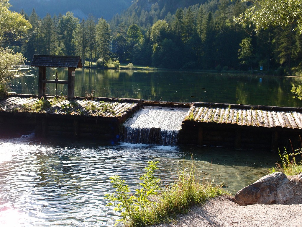 img00020.jpg