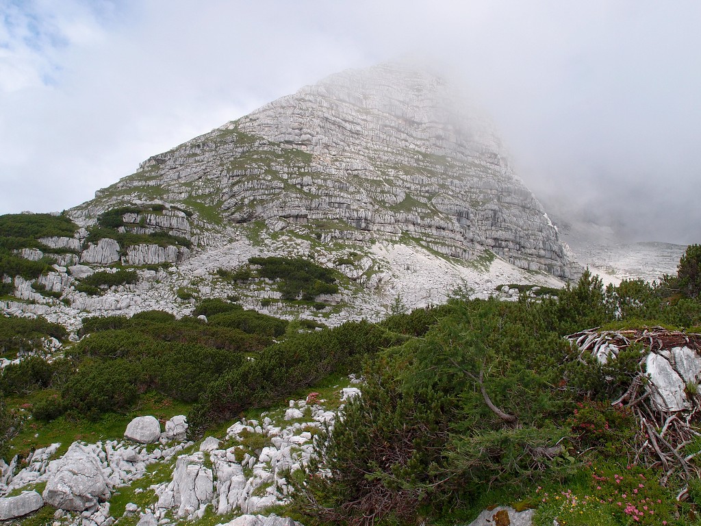img00004.jpg