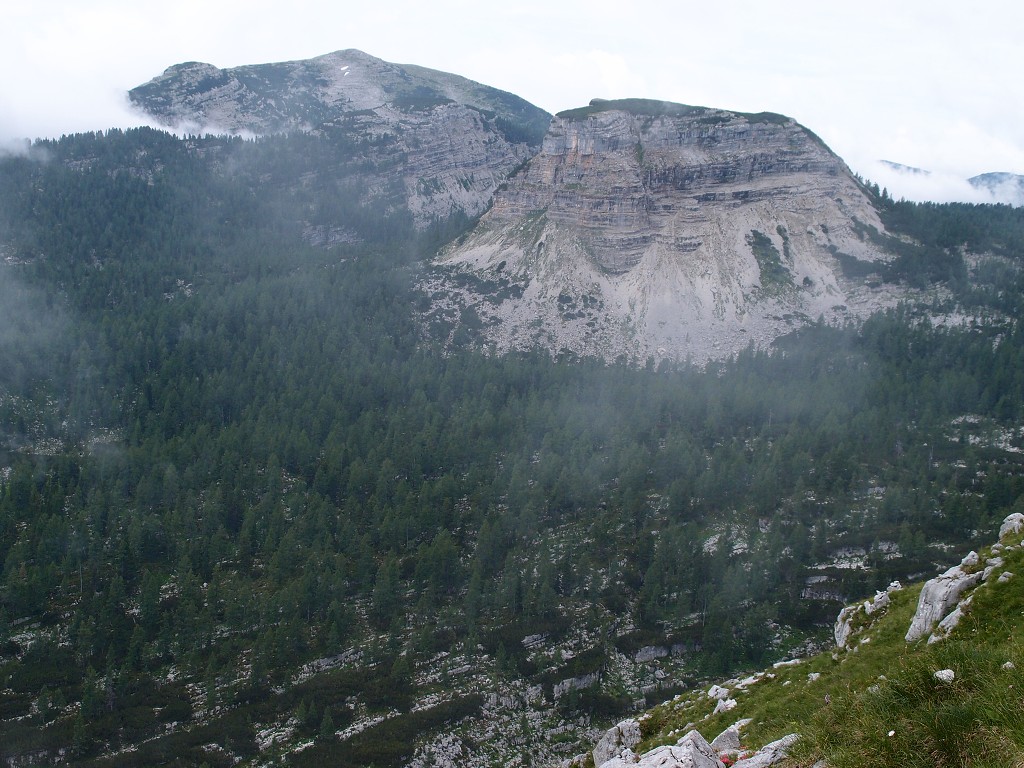 img00005.jpg