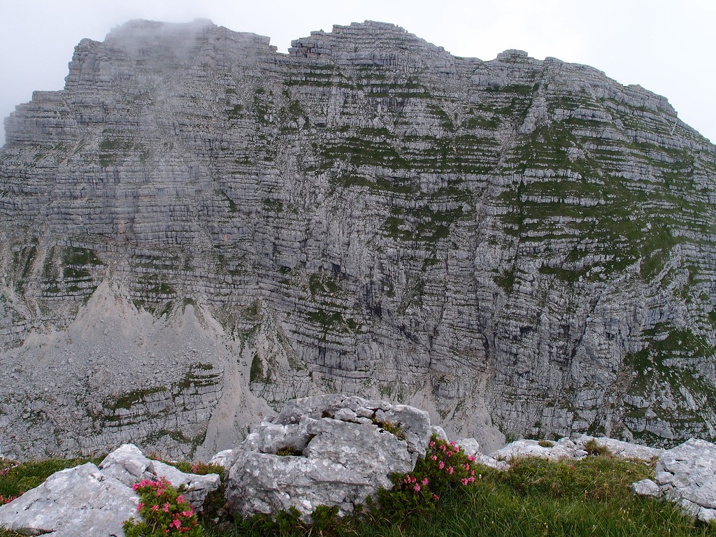 img00006.jpg