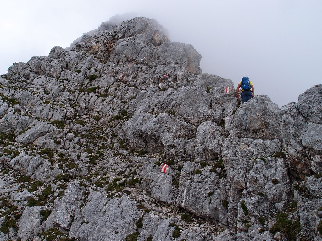img00009.jpg