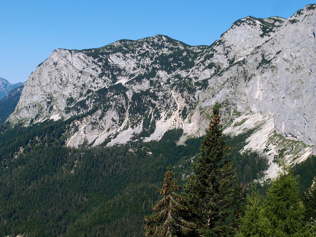 img00005.jpg