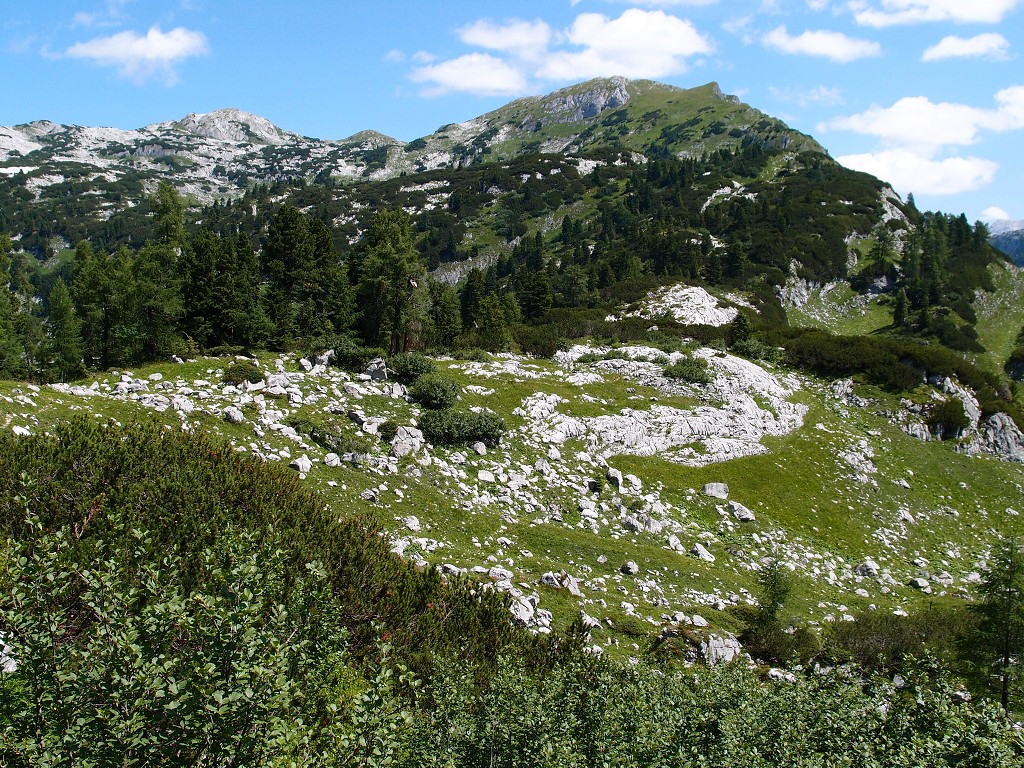 img00008.jpg