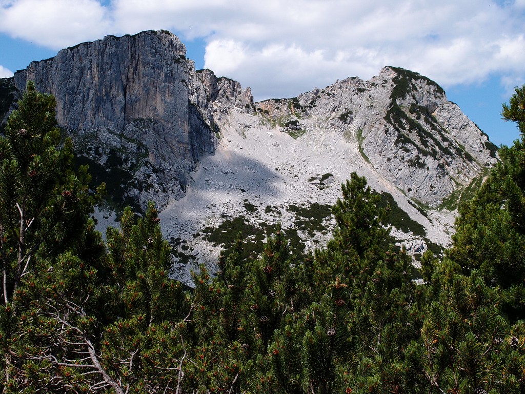 img00009.jpg