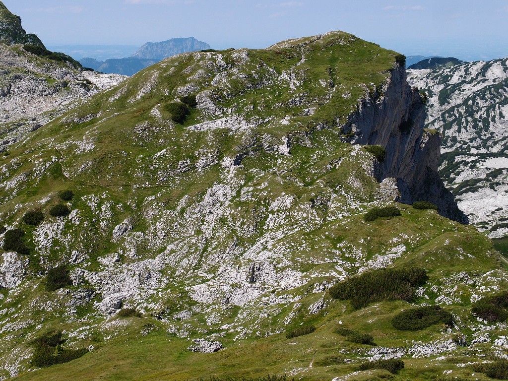 img00017.jpg