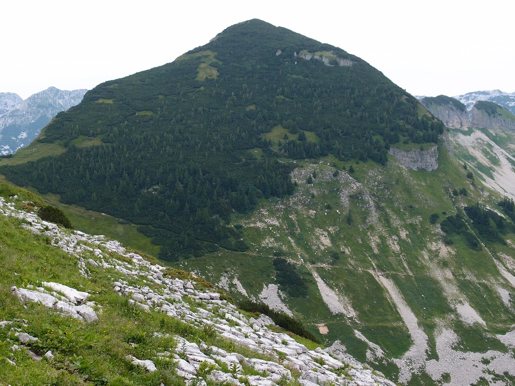 img00013.jpg