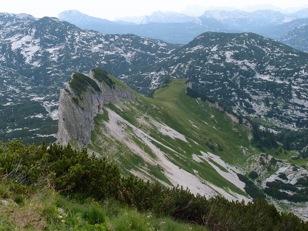 img00015.jpg