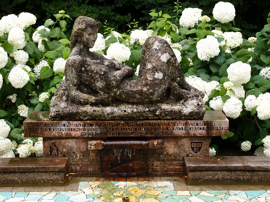 img00007.jpg