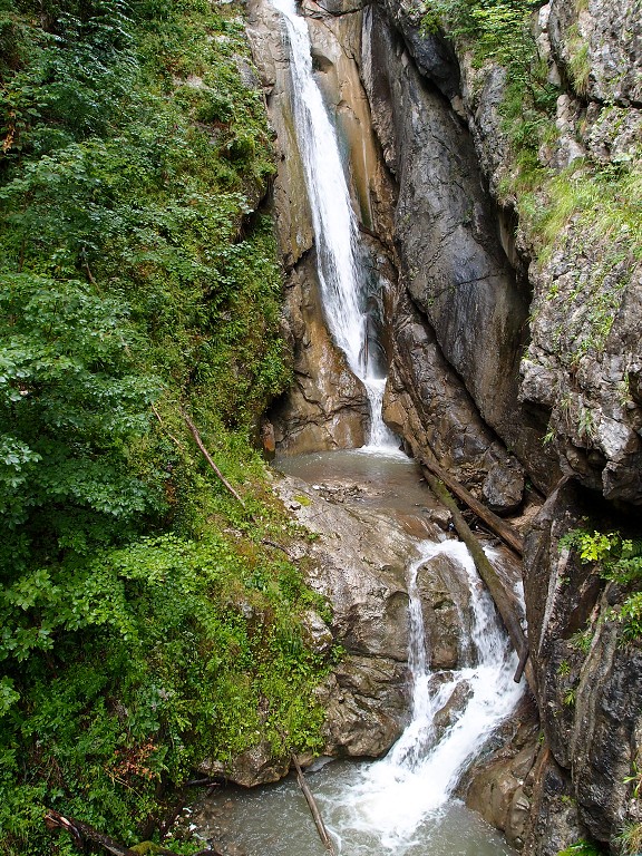 img00008.jpg