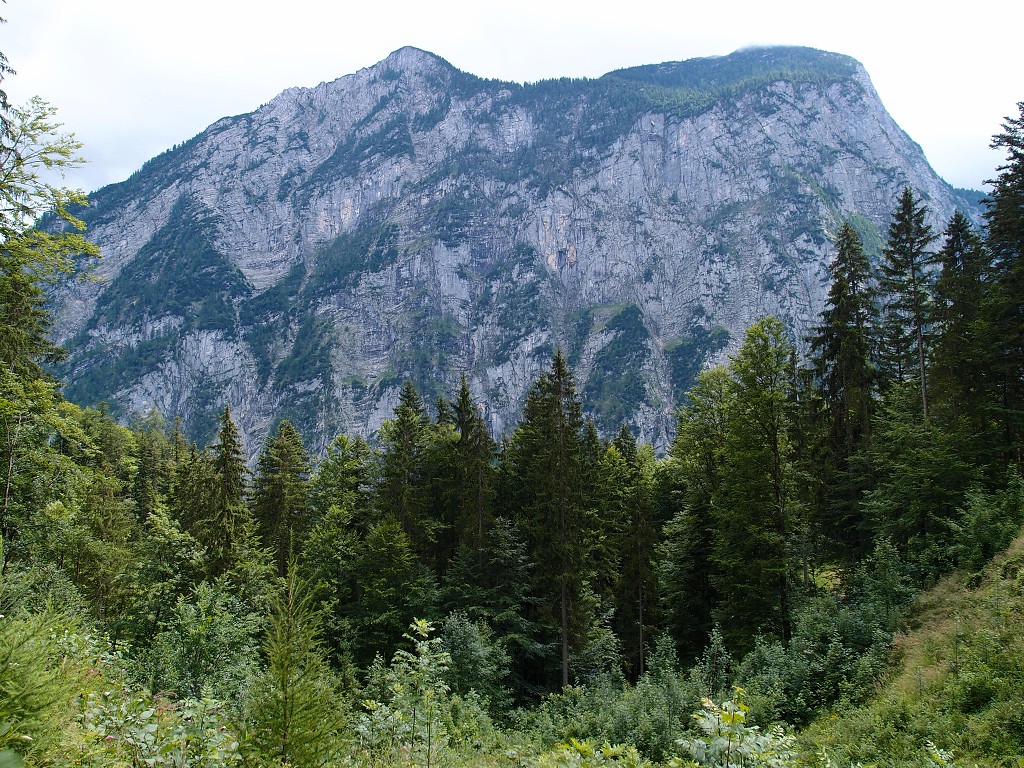img00012.jpg