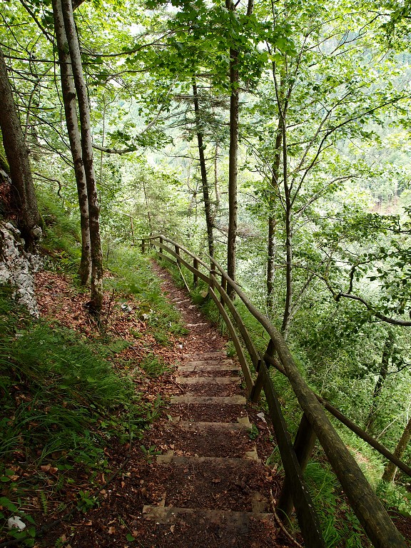 img00013.jpg