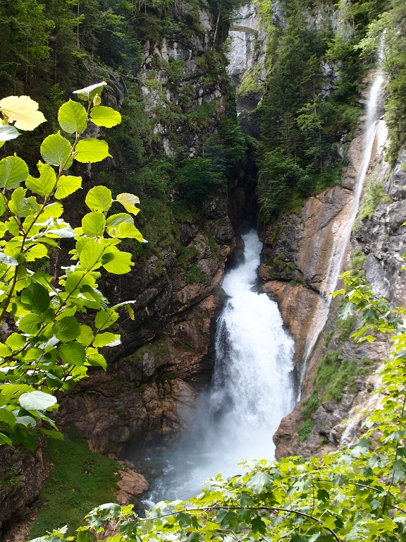 img00017.jpg