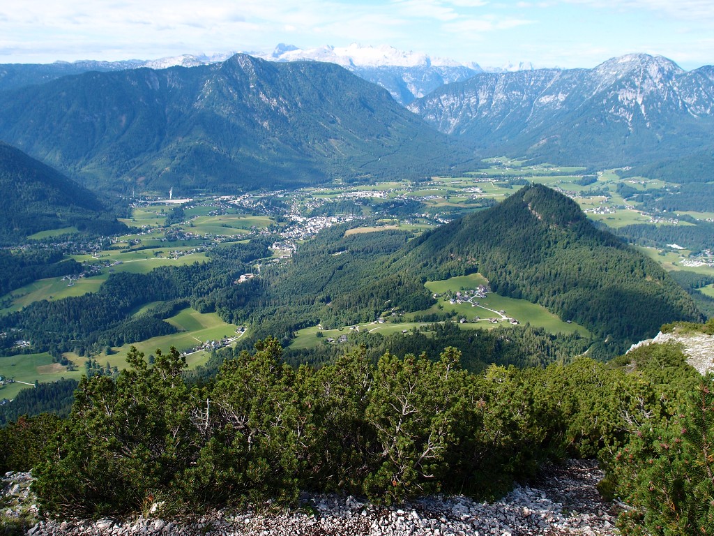 img00003.jpg