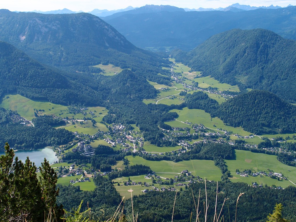 img00004.jpg