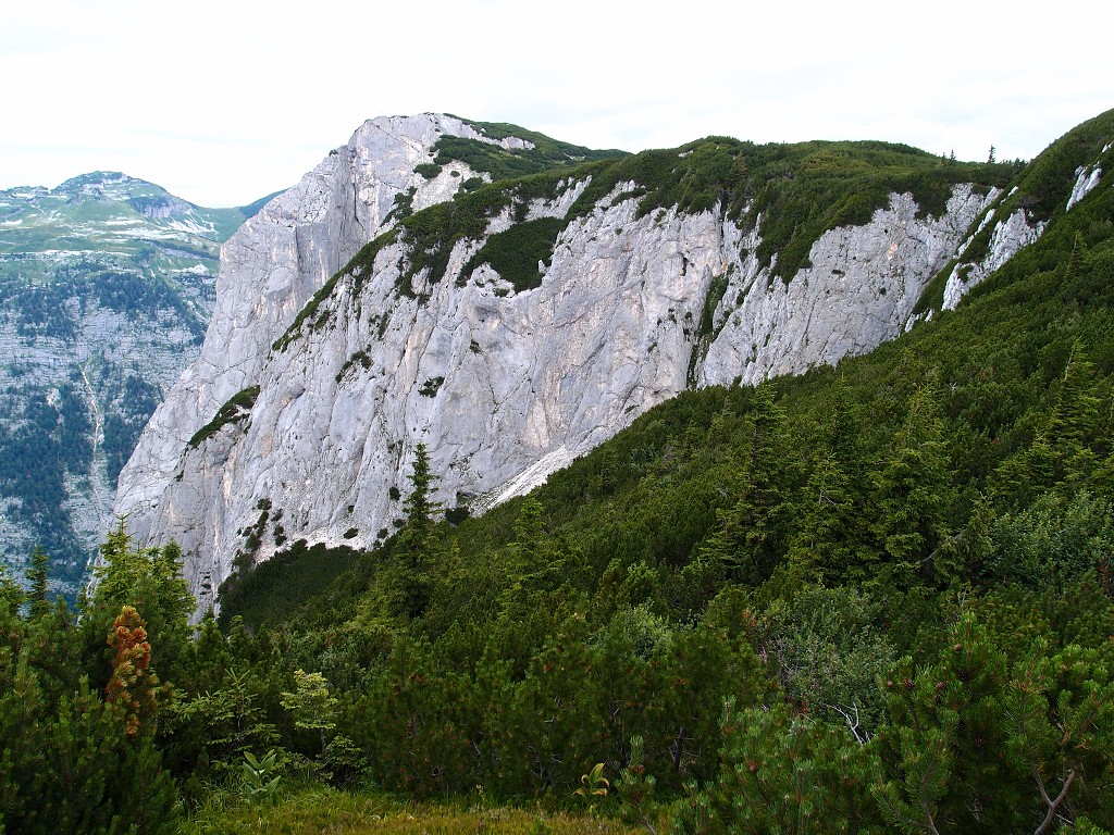 img00006.jpg