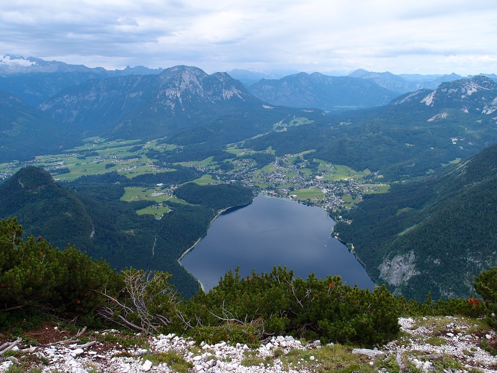img00007.jpg