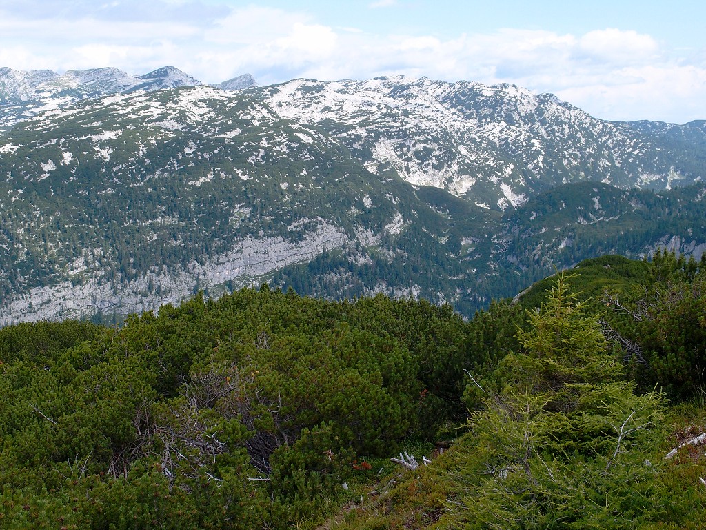 img00010.jpg